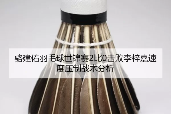 骆建佑羽毛球世锦赛2比0击败李梓嘉速度压制战术分析